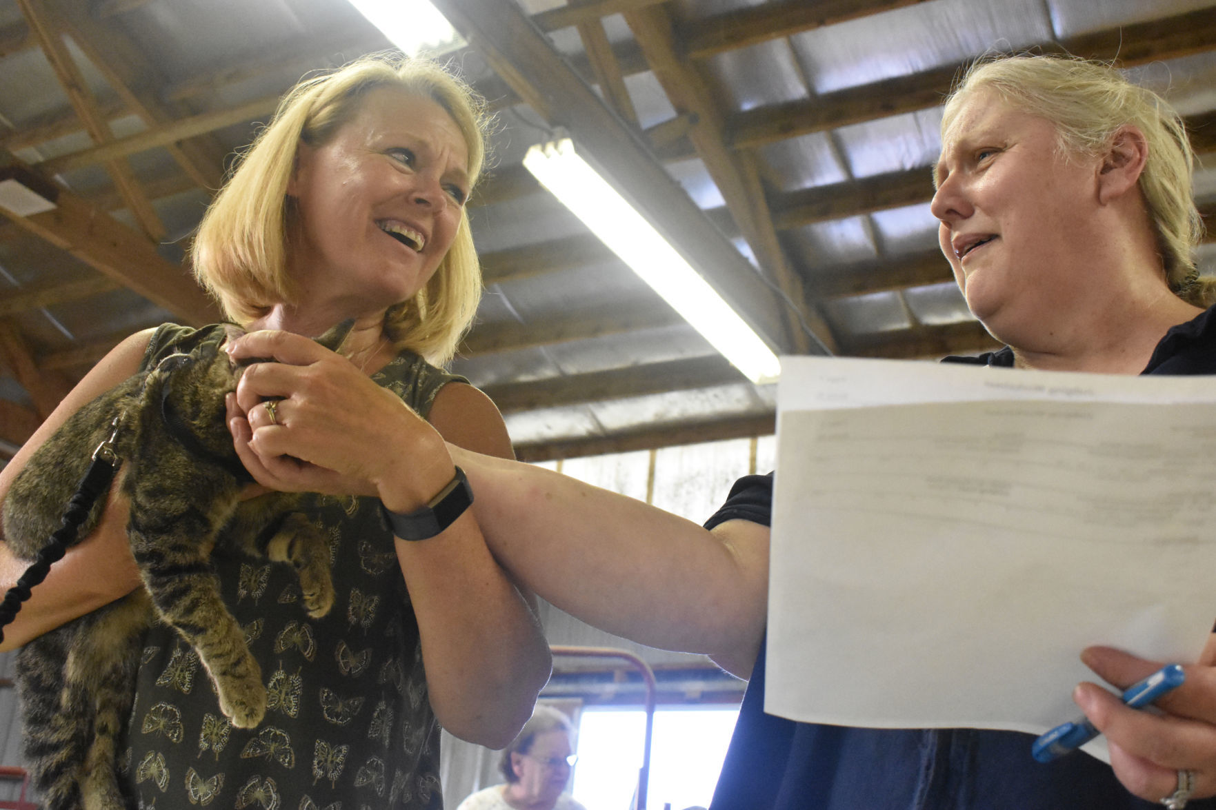 Small animals contest judges at the fair